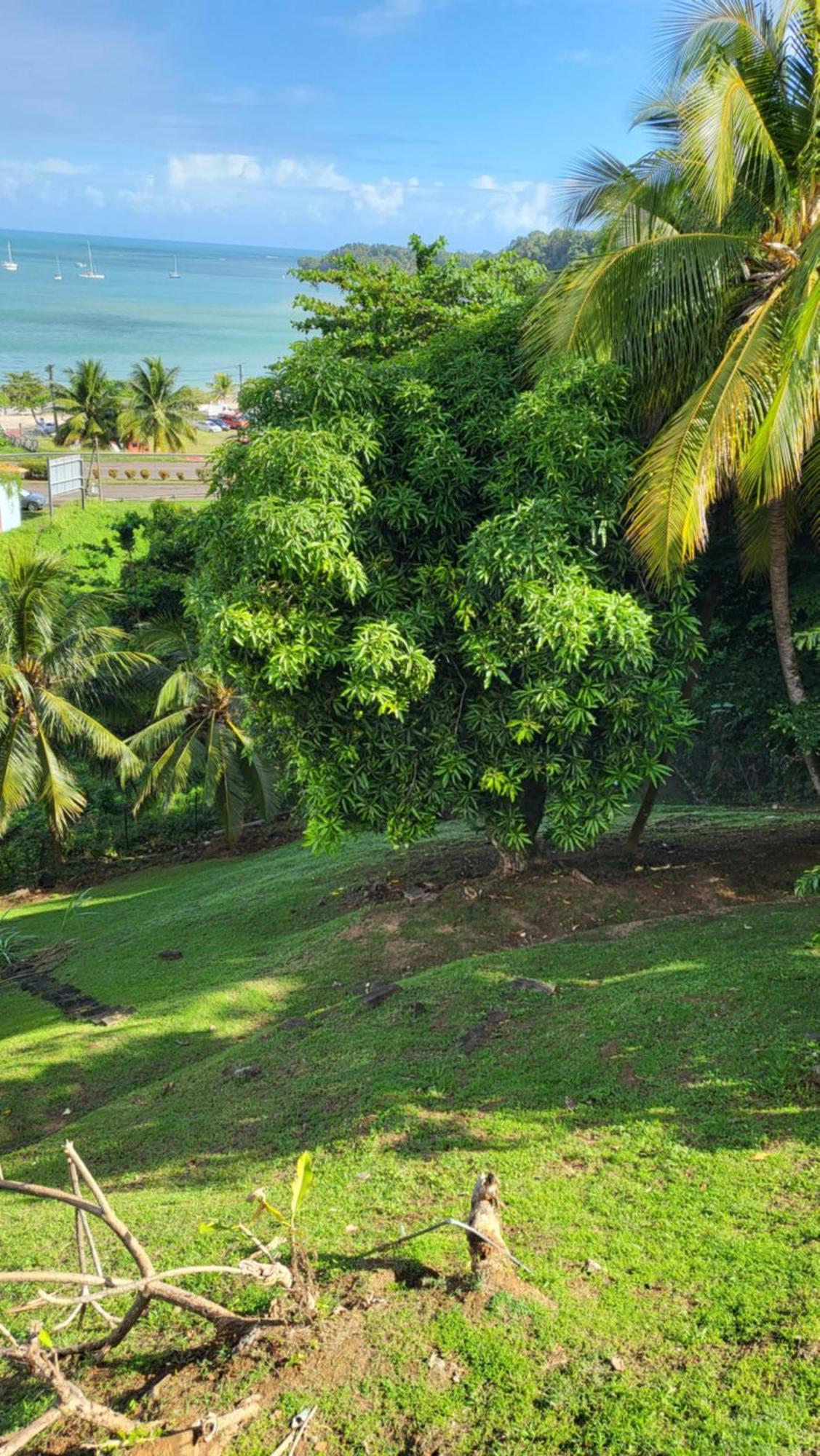 Le Caillou Villa ลา ทรินิเต ภายนอก รูปภาพ