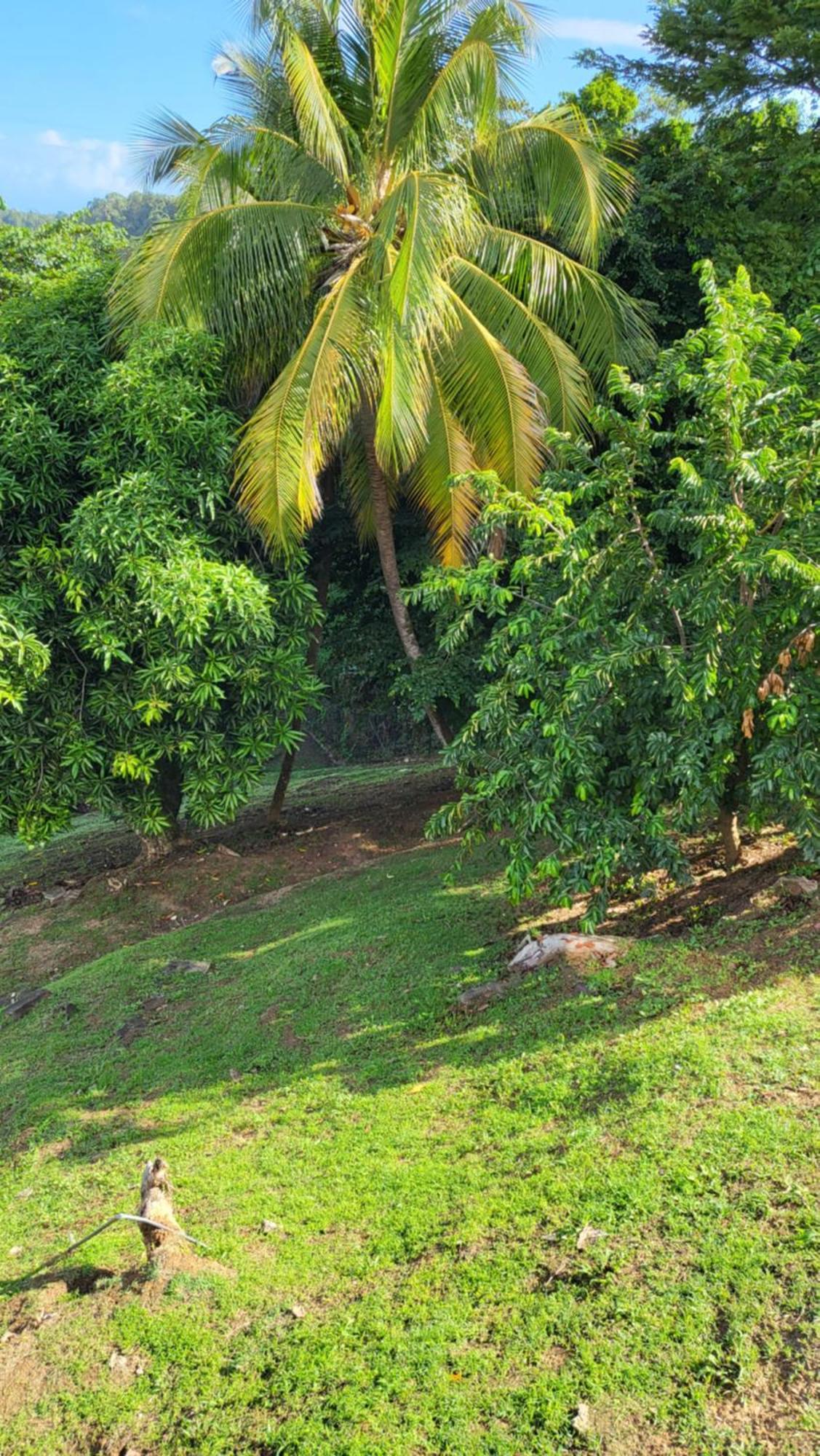 Le Caillou Villa ลา ทรินิเต ภายนอก รูปภาพ